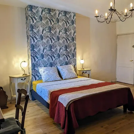 فندق مبيت وإفطار Au Dessus Des Arcades فيك-فيزينساك